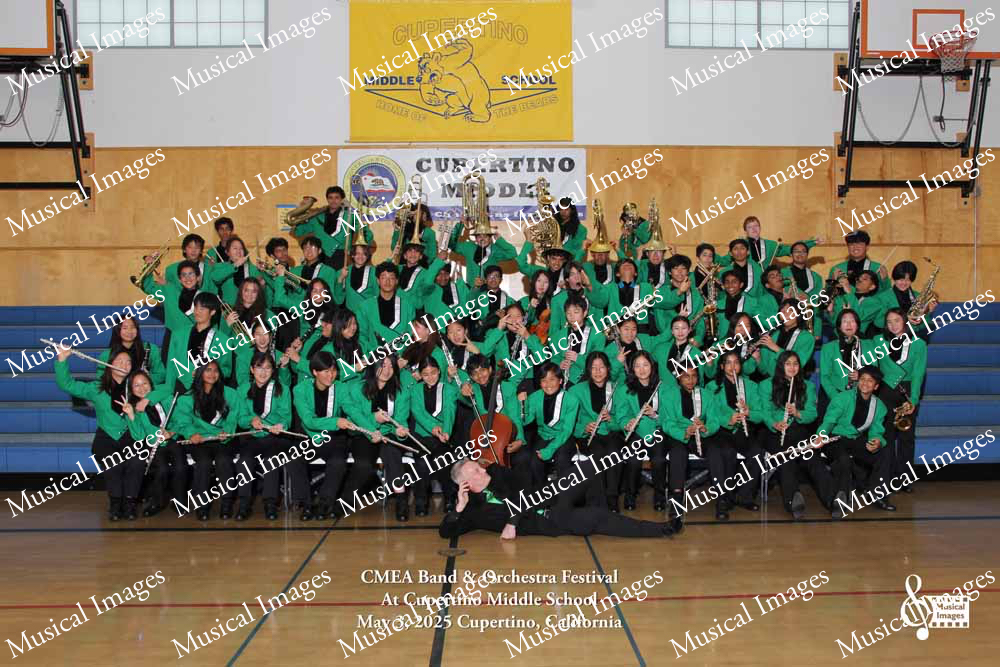 Musical Images
